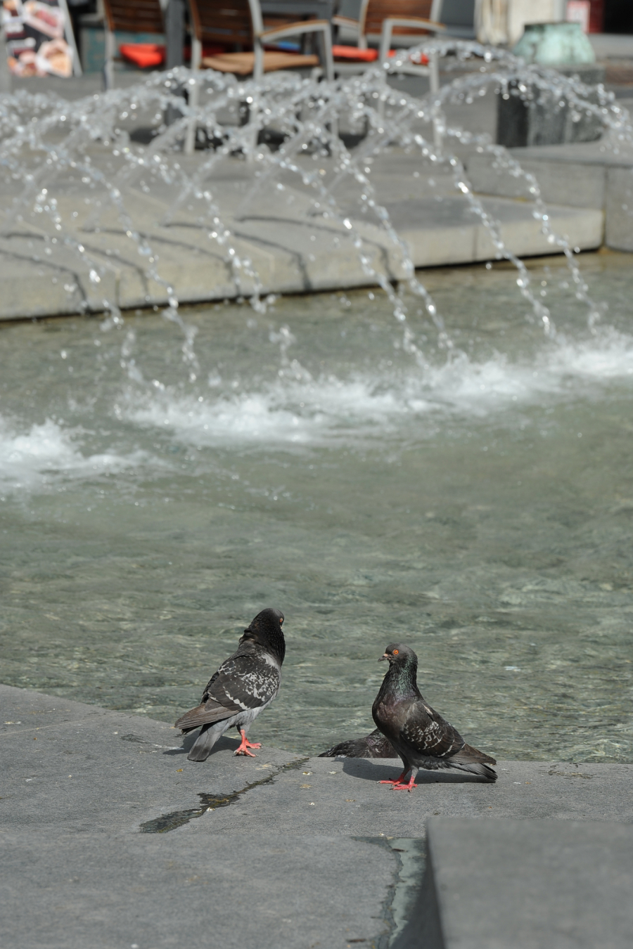 Krivac za ovakve vrućine je bloking – Đurđević objašnjava kako smo se našli u njegovom centru i koliko je opasan