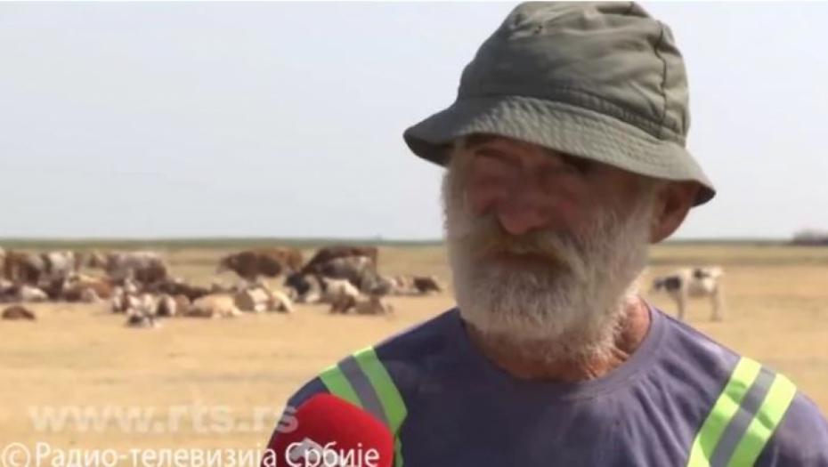 KRAVE PRESUŠILE OD VRUĆINA! Pastiri Steva i Zoran upozorili: Nema mleka, nemaju šta da jedu, sve je izgorelo!
