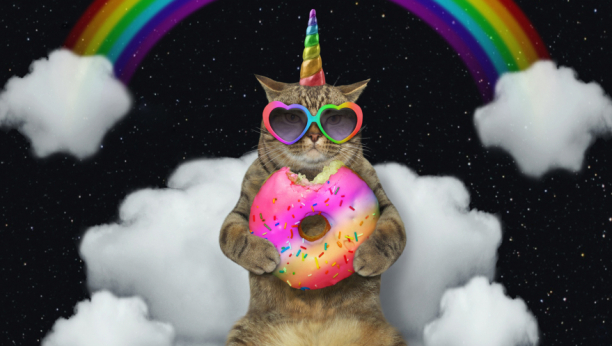 SVETSKE MACE SUPERFACE Krzneni ljubimci koji su ušli u istoriju zbog svojih neverovatnih osobina