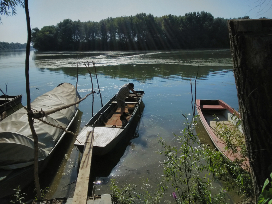 HEROJSKI PODVIG NA TISI Nije davao znake života, ali se Mićo i Nikola nisu predali, vratili ga iz mrtvih!