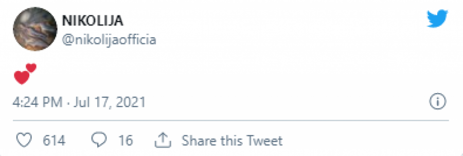 BRAVO MAMA! Nikolija se oglasila nakon porođaja, čestitke i lepe želje samo pršte, evo šta je pevačica poručila (FOTO)