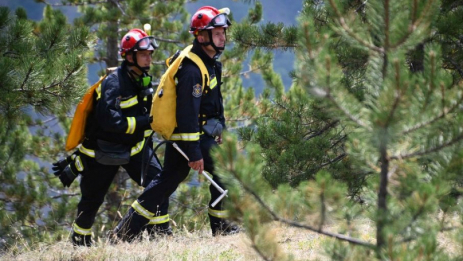 LOKALIZOVAN POŽAR NA CRNOM VRHU Vatrogasci se izborili sa vatrenom stihijom posle sedam dana
