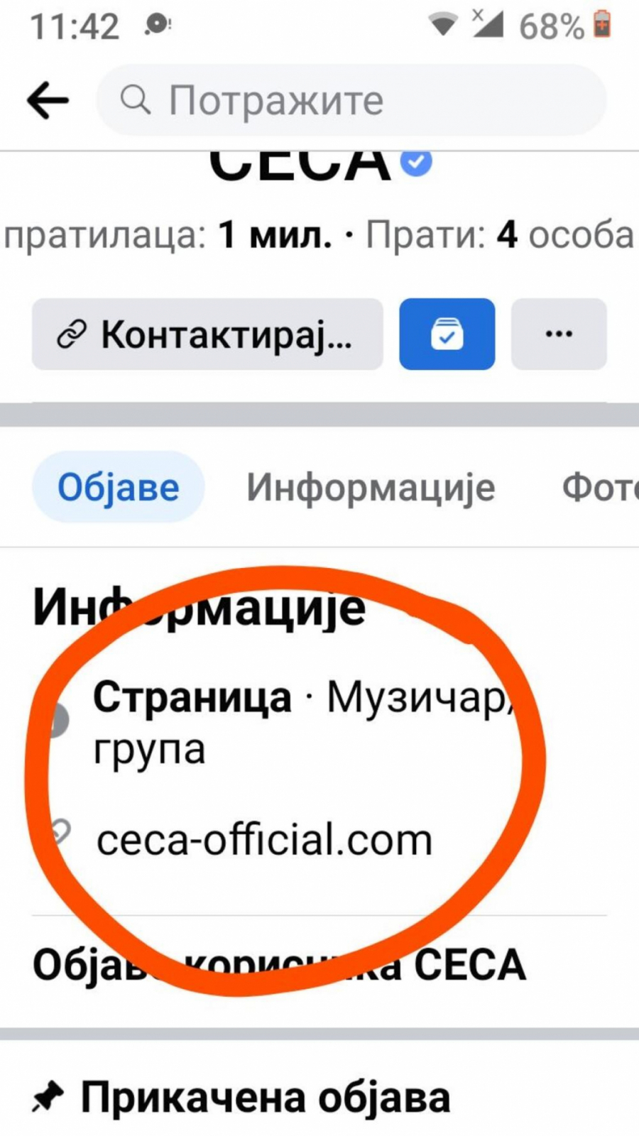 CECA NA UDARU FUDBALSKE MAFIJE Pevačicu napali i oduzeli joj sajt!