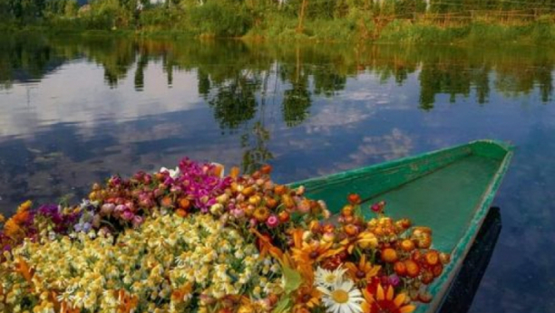 HOROSKOP ZA 21. JUL: Lav uživa u tajnom flertu, Bika loša procena dovodi do gubitka, evo ko će dobiti povišicu