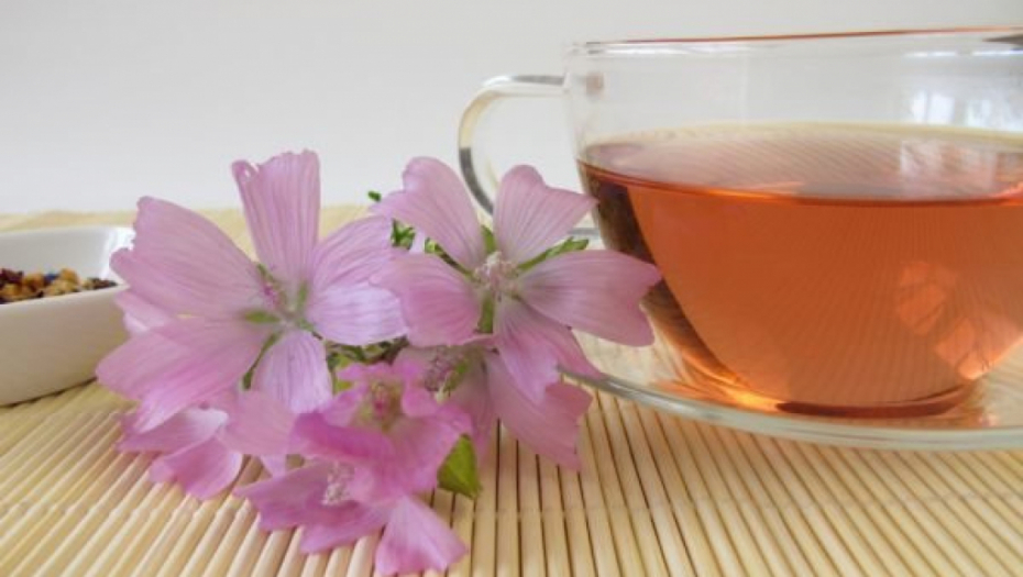 NAJJAČI PRIRODNI ANTISEPTIK:  Ova magična biljka leči bronhitis, kašalj, gastritis, upalu želudca i bešike