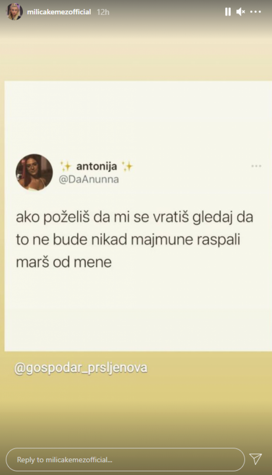 MILICA I BORA OPET RASKINULI?! Kemezova poslala Santani stravičnu poruku, posle ovih uvreda nema pomirenja!