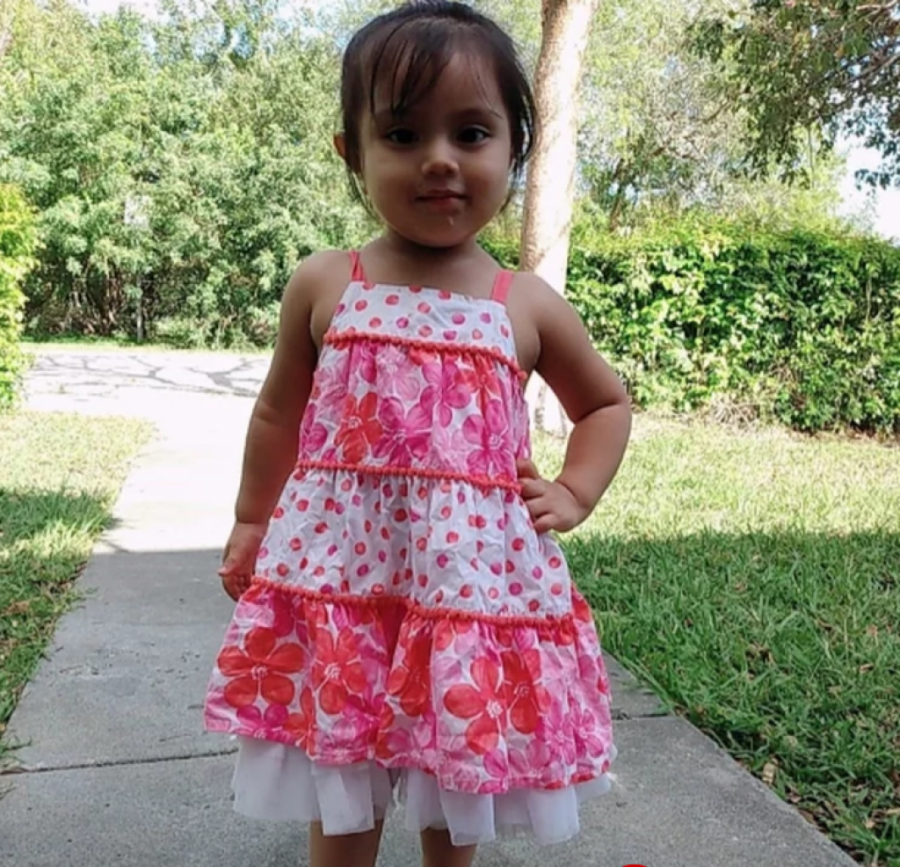 DEVOJČICA (2) UMRLA U ZAKLJUČNOM AUTOMOBILU Žena zaboravila dete, 7 sati je bilo zarobljeno po paklenoj vrućini