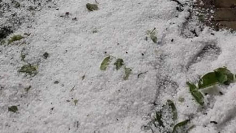 GRAD OPUSTOŠIO OPŠTINU BLACE! Stradalo preko 3.900 hektara useva, stabla ostala bez listova, ŠTETA je dugogodišnja!