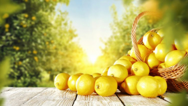 ZA DVE NEDELJE 10 KILOGRAMA MANJE Najbrža limun dijeta - detaljan plan i jelovnik