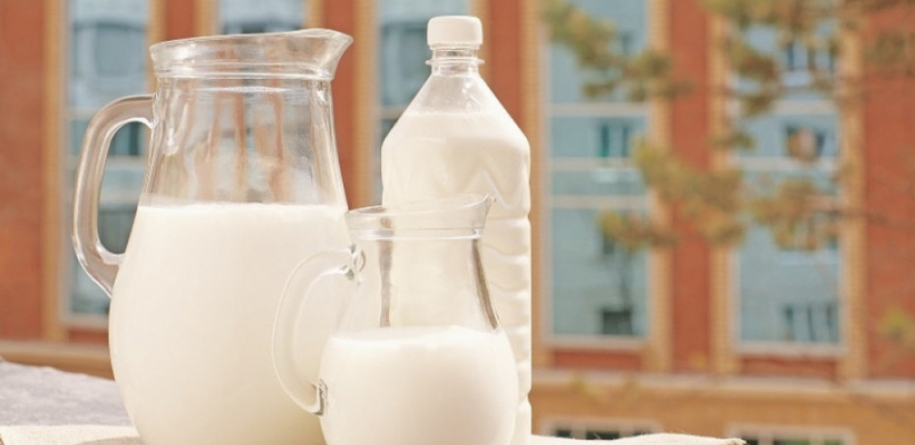 Da li znate kakvo mleko pijete?