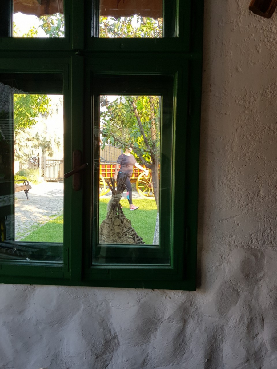 MILJANA I ZOLA UHVAĆENI ZAJEDNO, MARIJI ĆE SE POGORŠATI STANJE?! Pogledajte paparaco fotografije iz etno sela!