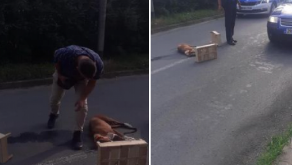 ŠVEĐANIN UČINIO ZLO U BANJALUCI Nije postojao povod za ovakav užasan čin!