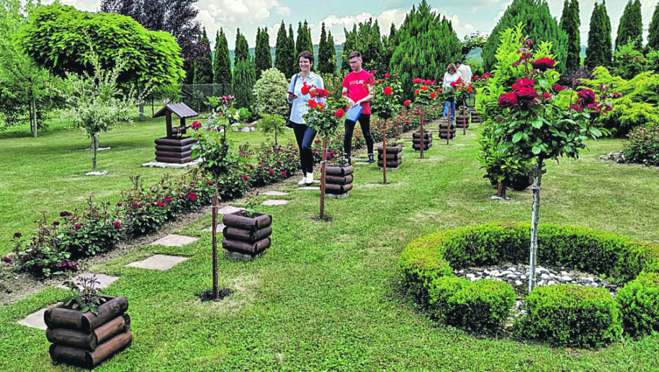 VLAKČA, CVETNA BAŠTA SRBIJE Meštani sela u okolini Kragujevca do savršenstva uredili dvorišta