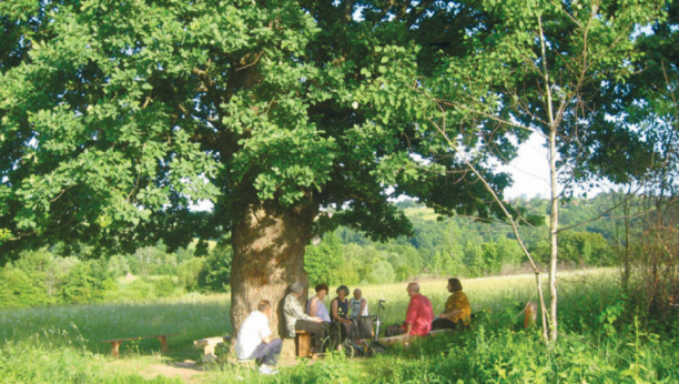 Srbi i dalje veruju u magičnu moć drveća: Hiljade ljudi godišnje, traži spas ispod starog hrasta, a evo šta kažu lekari
