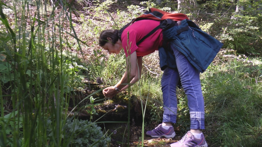 ŽENA VUK SA PLANINE ČEMERNO Baka Radica živi na preko 1.500 metara nadmorske visine i sve poslove obavlja sama, čak i kada joj kuću zaveje preko tri metra snega!