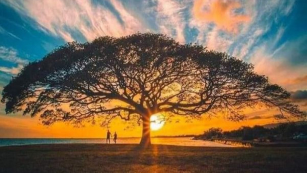 NEDELJNI HOROSKOP: Za Škorpiju nastupa težak period, Devica konačno dobija priliku da uspe, polje novca sjajno je prikazano kod Blizanaca