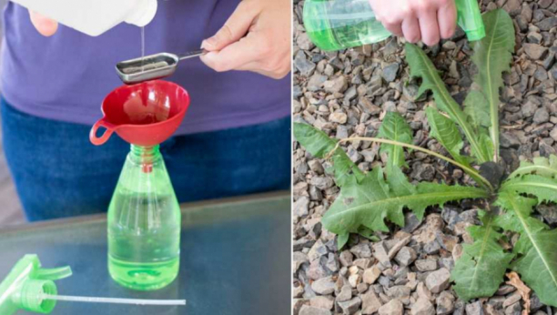 BEZ TRUNKE HEMIKALIJE - 5 načina da se rešite korovskih biljaka