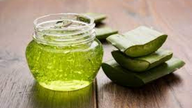BILJKA BESMRTNOSTI Napravite sami gel Aloe vere koji uništava ćelije raka!