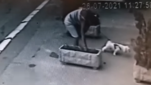 NEVEROVATNA SCENA U BEOGRADU Žena šetala psa, a onda zastala da se posluži, komšije besne