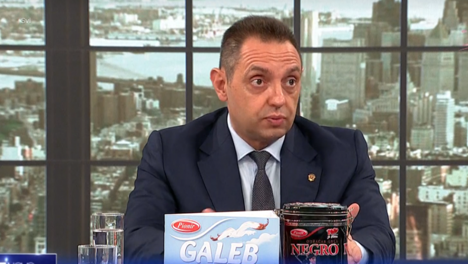 VULIN ODGOVORIO PAHORU! !Zbog srpskog sveta niko nije stradao, ali zbog slovenačkog samoopredeljenja jeste!"