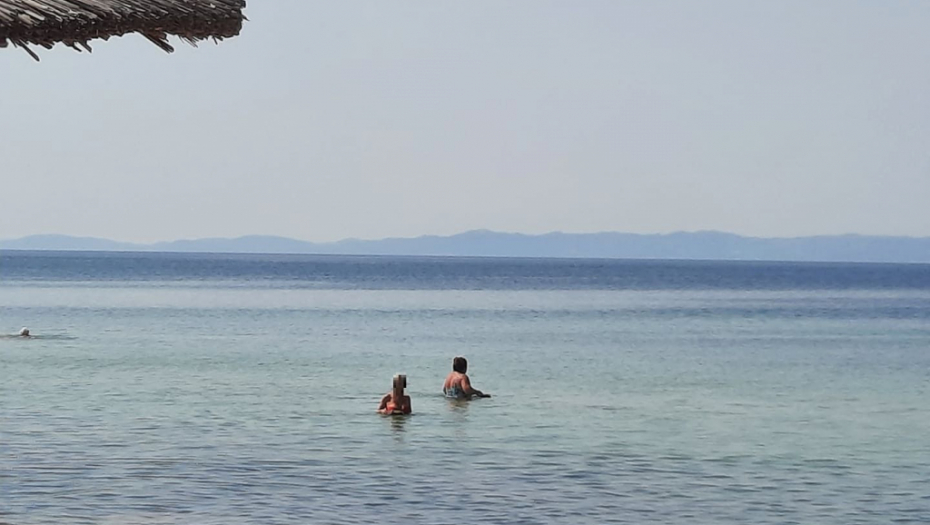 LOVE IH, PA ZAKOPAVAJU U PESKU Ova morska stvorenja potpuno su bezopasna, a okrutni turisti se iživljavaju nad njima!