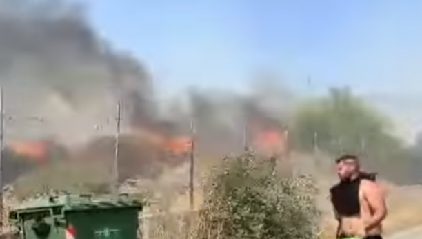 Halkidiki goreo, turisti bezbedni: Zapalilo se rastinje na placu na Sitoniji, vatrogasci brzo reagovali