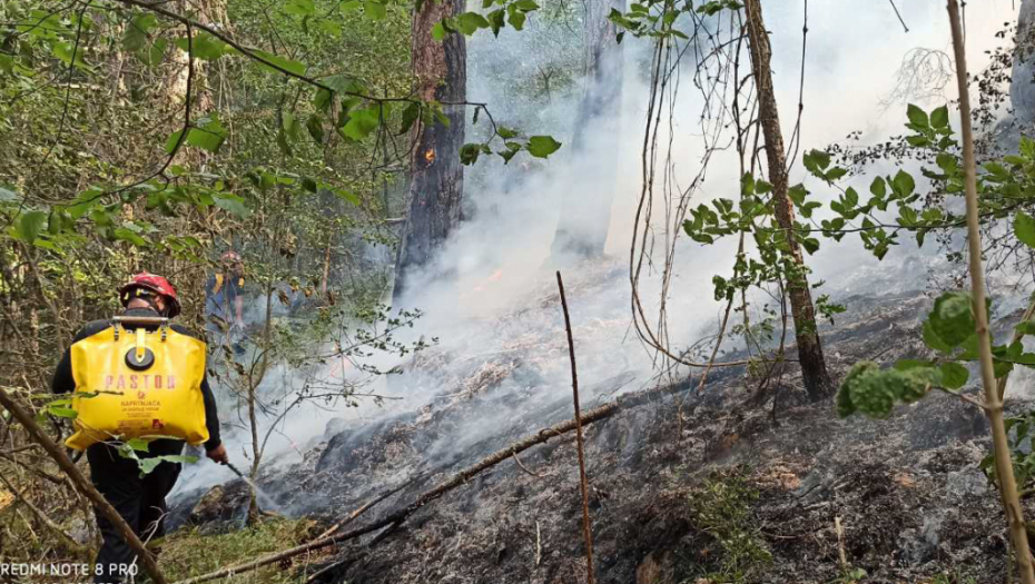 VATROGASCI SE BORE DA LOKALIZUJU VATRU 100 hektara šume zahvaćeno požarom na Mokroj Gori!