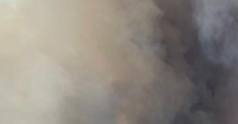 NAJMANJE ČETVORO LJUDI IZGORELO! Požari besne jugom Turske, ugrožena poznata letovališta!