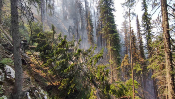 NAJVEĆI POŽAR U POSLEDNJIH 50 GODINA U Finskoj nestalo 300 hektara šume, nedeljama će trajati gašenje