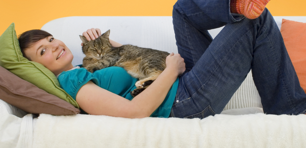 MAČJI ŽIVOT IZ SNOVA Možda vam život u stanu sa mačkom deluje kao loša ideja, ali svi možete biti srećni