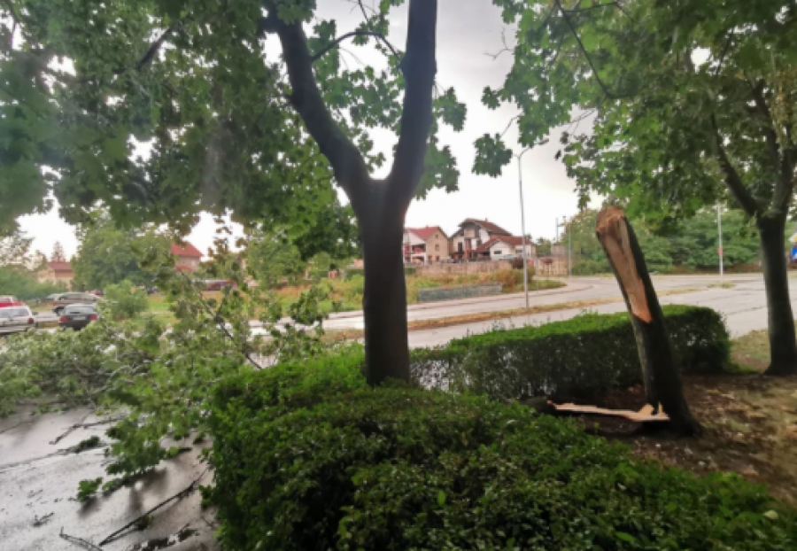 UŽASNO NEVREME PROTUTNJALO SRBIJOM 