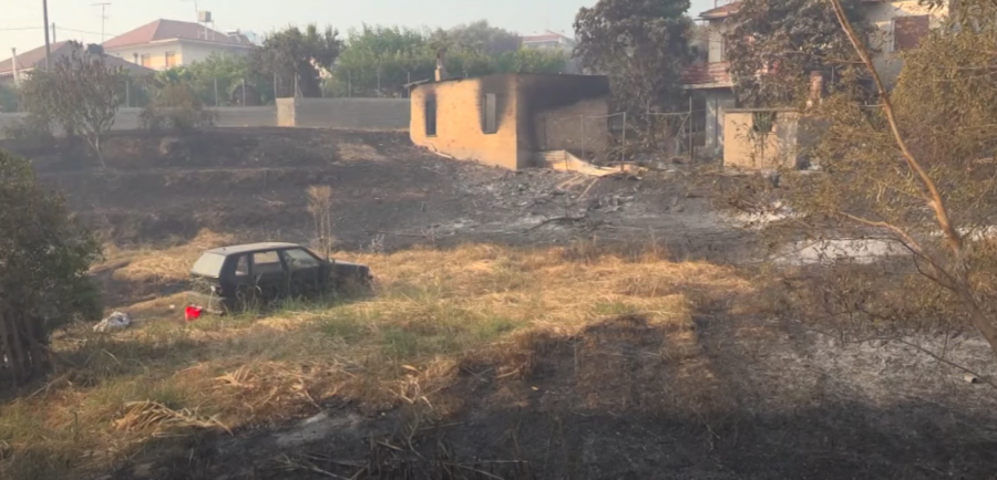 JAVIO SE KONZUL SRBIJE U GRČKOJ! Otkrio šta se dešava sa našim turistima: Evija i dalje gori!