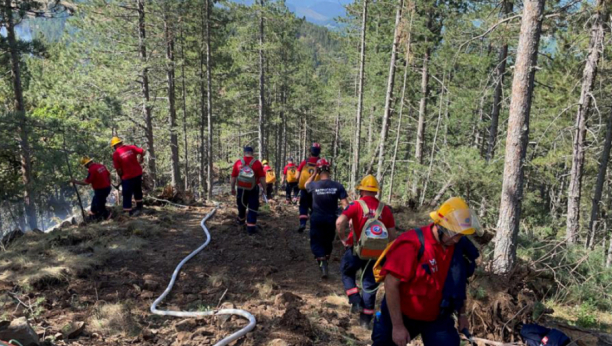 LOKALIZOVAN POŽAR NA MOKROJ GORI 132 vatrogasaca ostaje da dežura