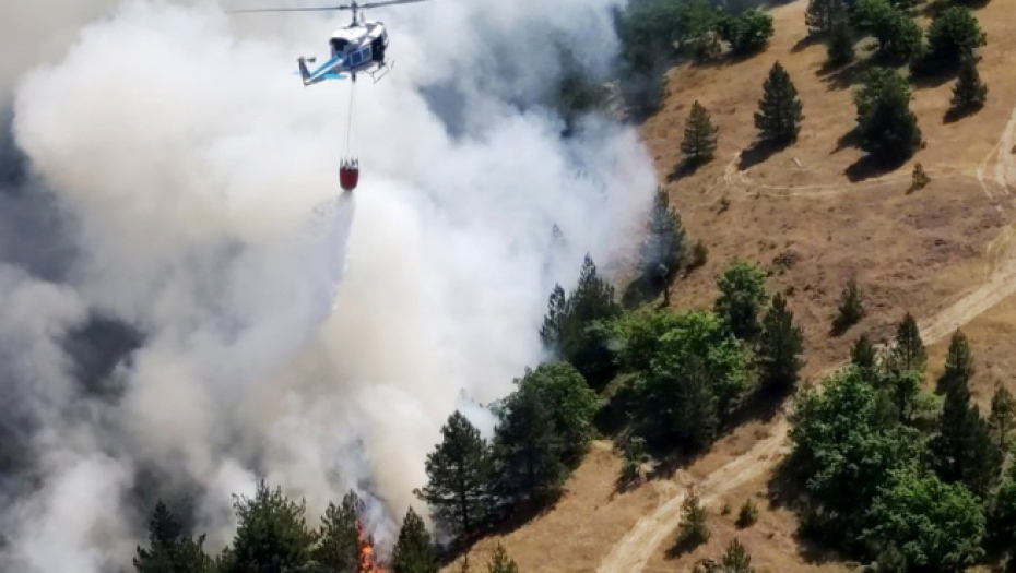 RECEPT ZA SAMOUNIŠTENJE Šume izgore do temelja, više ne rastu i ne prečišćavaju vazduh
