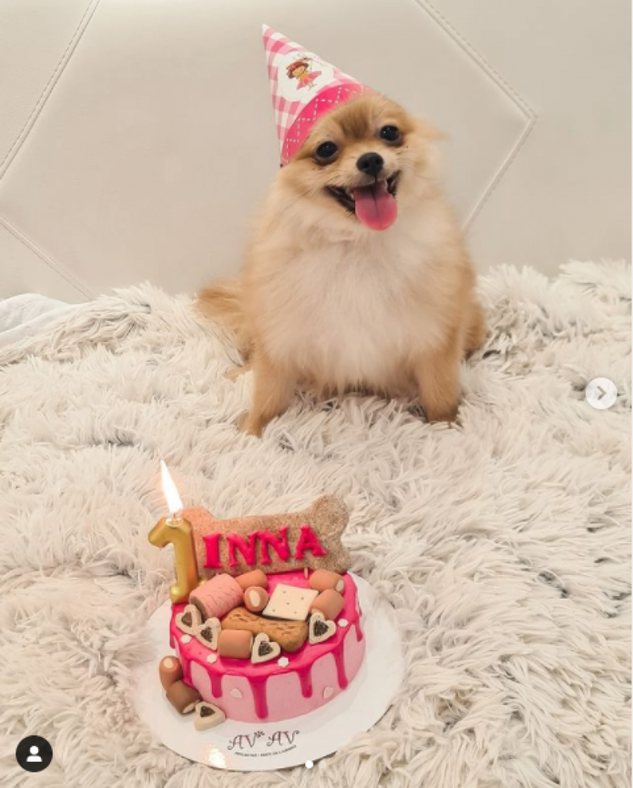 PUKLA PARE NA ROĐENDAN KUĆNOM LJUBIMCU! Aleksandra Mladenović ne zaostaje za trendovima svetskih zvezda!