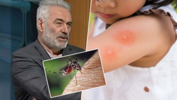 DR NESTOROVIĆ TVRDI: Ako pijete ovaj vitamin, komarci i drugi insekti vam neće ni prići