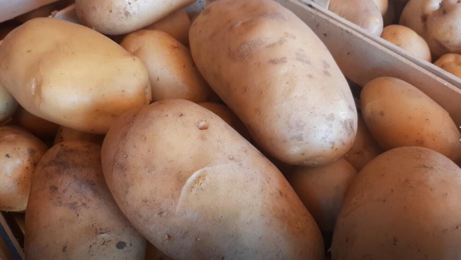 Ruski lek: Probajte ovo prirodno rešenje za hemoroide