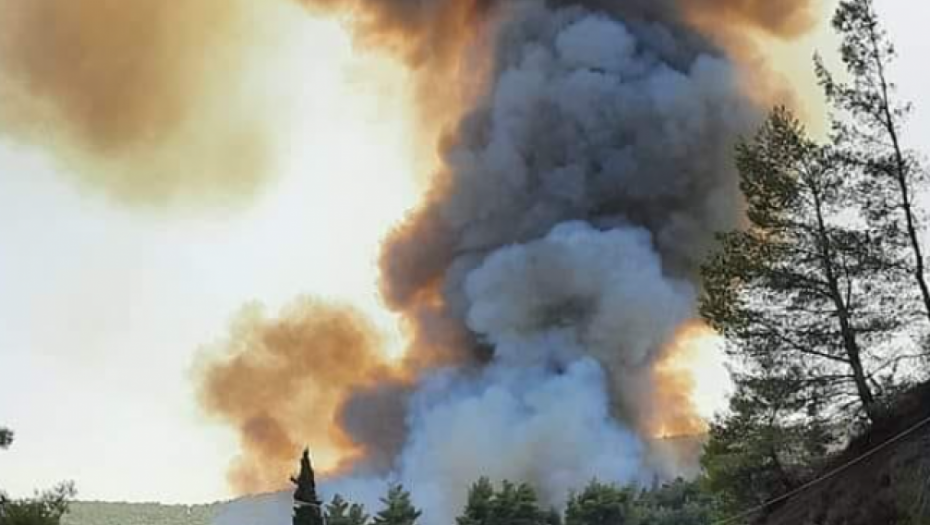 HAOS I RAZARANJE U GRČKOJ Požar na Eviji stigao do grada Limni, na hiljade evakuisano