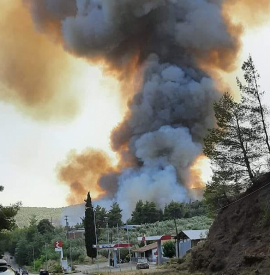 SRPSKI TURISTI U GRČKOJ SE MOLE ZA SPAS Pakleno letovanje, proveli noć na trajektima, ljudi beže iz letovališta