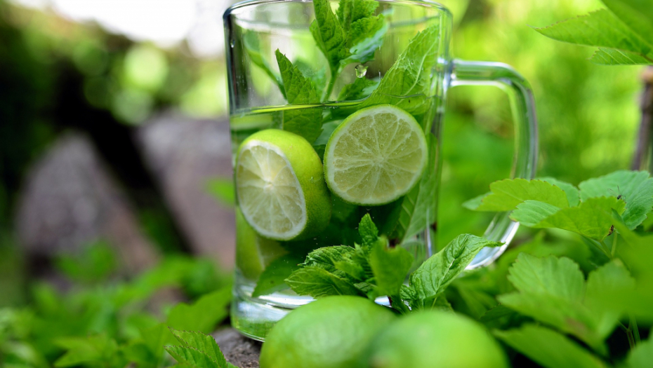 OVA ZAČINSKA BILJKA JE "SMRT" ZA KOMARCE Od njenog mirisa opasni insekti beže kao ludi, i više se ne vraćaju