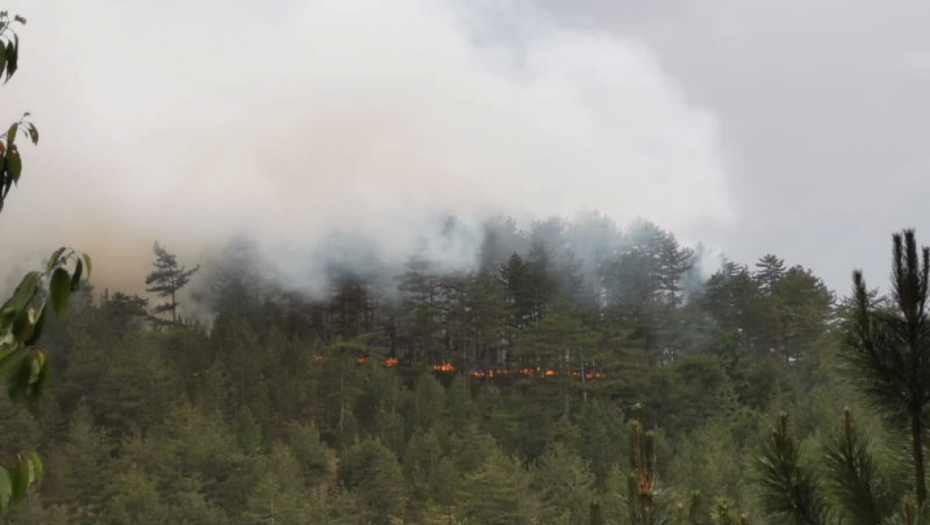JOŠ JEDNA DEPONIJA GORI Veliki požar izbio je u Topoli