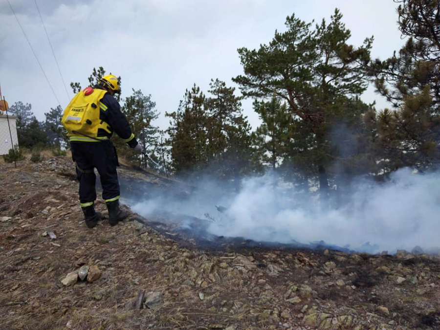 RECEPT ZA SAMOUNIŠTENJE Šume izgore do temelja, više ne rastu i ne prečišćavaju vazduh