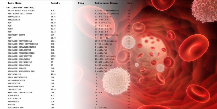 SAČUVAJTE OVAJ TEKST! PROTUMAČITE SAMI KRVNU SLIKU: Evo šta znače skraćenice i na šta njihove vrednosti upućuju