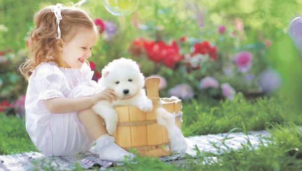 NEGA POČINJE VEĆ OD MALIH ŠAPA Kupanje, četkanje i šišanje šteneta je važno jer je i ono član domaćinstva