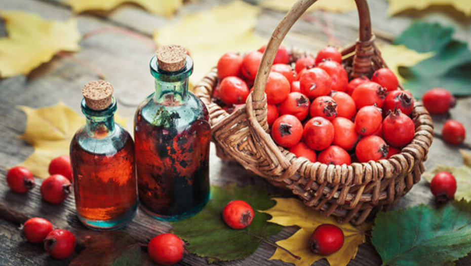 NAŠI STARI KAŽU DA MENJA 100 TABLETA Najlekovitija biljka na svetu, hrani srce, sprečava infarkt