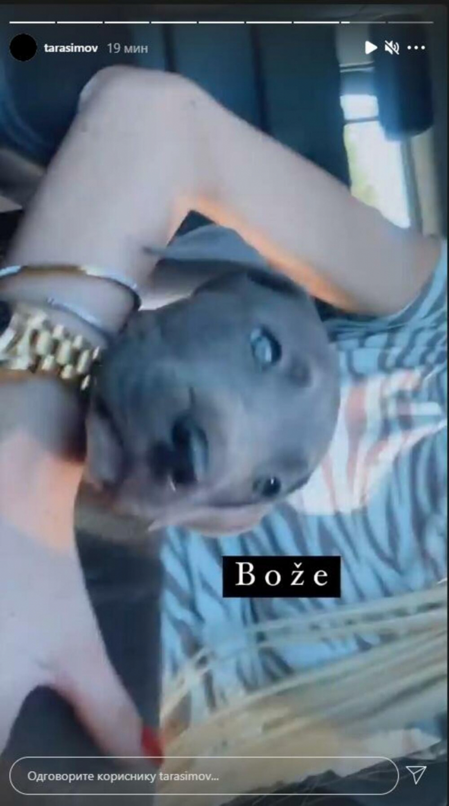 TARA I ŠA BOGATIJI ZA NOVOG ČLANA PORODICE Simova objavila srećne vesti i pokazala o kome je reč! (FOTO)