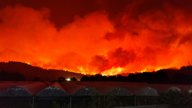 POKRENUTA ISTRAGA O PODMETANJU POŽARA Grčki vatrogasci se bore i protiv vatre na Peloponezu, izbilo preko 500 požara