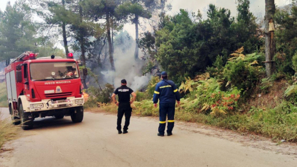 KAO JEDNO Srpski vatrogasci rame uz rame sa grčkim, pomažu im i naši medicinari, ali i helikopterska jedinica MUP-a (FOTO/VIDEO)