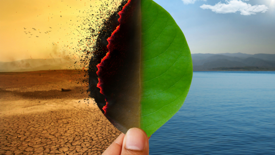 HILJADE ŽRTAVA TOPLOTNOG UDARA Požari, vrućina i suša pustoše Evropu, evakuisana stanovništva