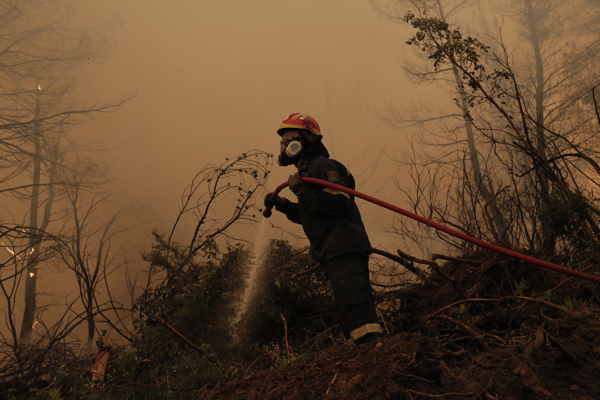 POŽARI NE JENJAVAJU U Kaliforniji gorelo na desetine kuća